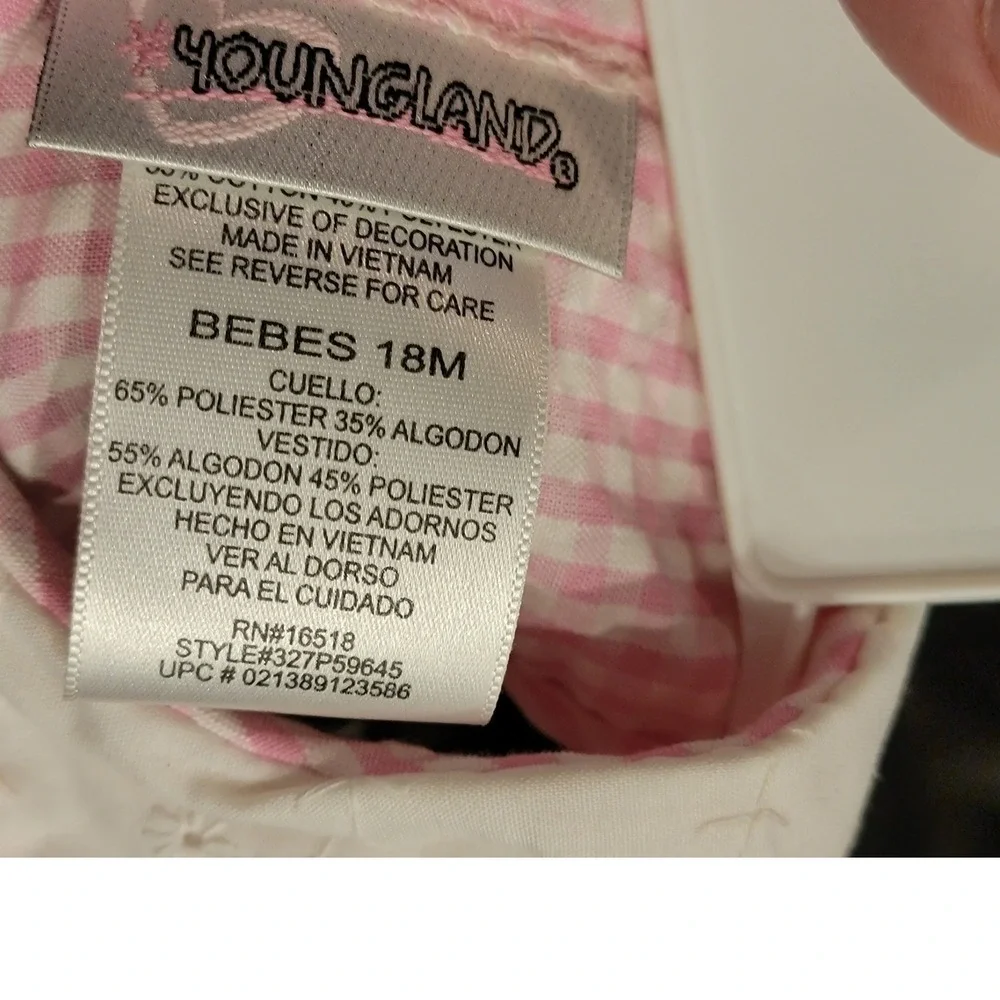 Youngland Baby Girls Pink Gingham Heart Scalloped Dress 18M NWT 327P59645